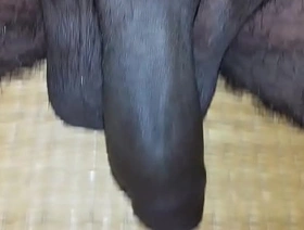 Mayanmandev xvideos indian nude video - 89 japan gay porn itto