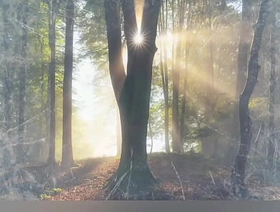 quand le chat a décidé de regarder la télévision china padre gay porn