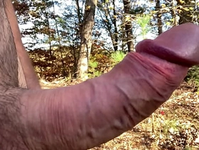 Clitlicker662 - update #19 - IMG 1255 - Nov 24, 2024 jubilant porn hot japanese