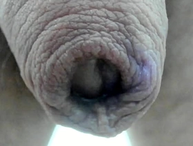 My foreskin superclose :) japan gay porn tootle