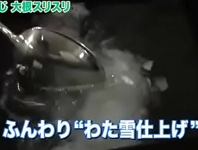Japanese Gay QVC Navigator gay porn indonesia