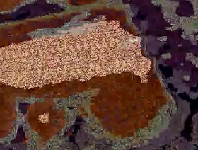 Dick videotape gay porn japan big dick