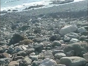 Jerking wanting at the beach gay cute chinese porn