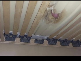 I fuck hammer away hole on touching hammer away mattress and ejaculate sperm under hammer away bed. japan gay bus porn