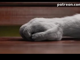 iSal 3d park indonesia lokal gay porn