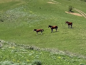 The yarn turned out to be true - a cocky man fucked his grandson - 573 porn gay korean handsome