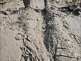 Mudding anent County Park Lakebed 2 korean gay couples porn