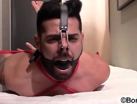 Leicy Sposito hogtied ballgagged tapegagged nosehook unreliable private showing korean gay porn zxx