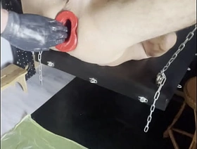 So wird Toms Arsch mit dem Pighole geweitet sex elated chinese porn