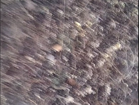 Punheta em público china gay porn sex