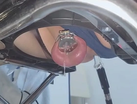 chastity prostate multiple milking korean elated hot porn