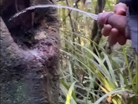 Tree holes are natural Urinal chinese teenager gay porn